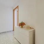 Apartment Ba - Carrer Balmes Blanes